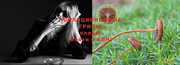 крисы Алексеевка