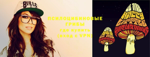 ГАЛЛЮЦИНОГЕННЫЕ ГРИБЫ Алзамай