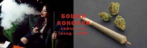 ГАЛЛЮЦИНОГЕННЫЕ ГРИБЫ Алзамай