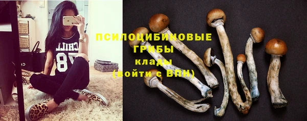 дурь Алексин